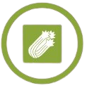 Celery