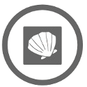 Mollusk